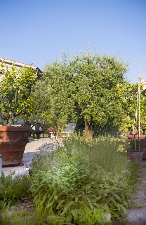 Dolce Sosta Hotel Lucca Exterior photo